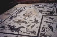 Sevilla - Italica Tiled Floors Detail